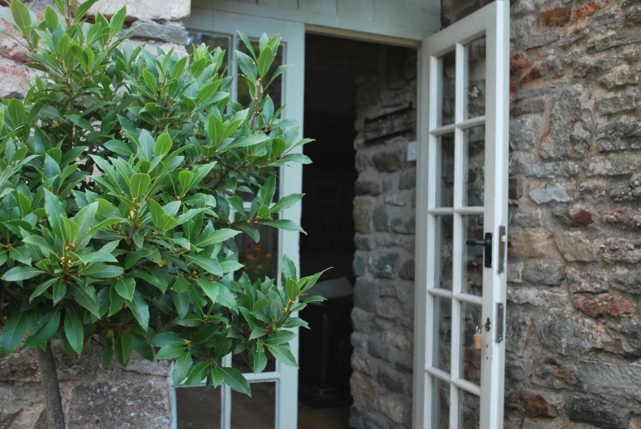Fenny Castle Vineyard Cottage Wookey Экстерьер фото