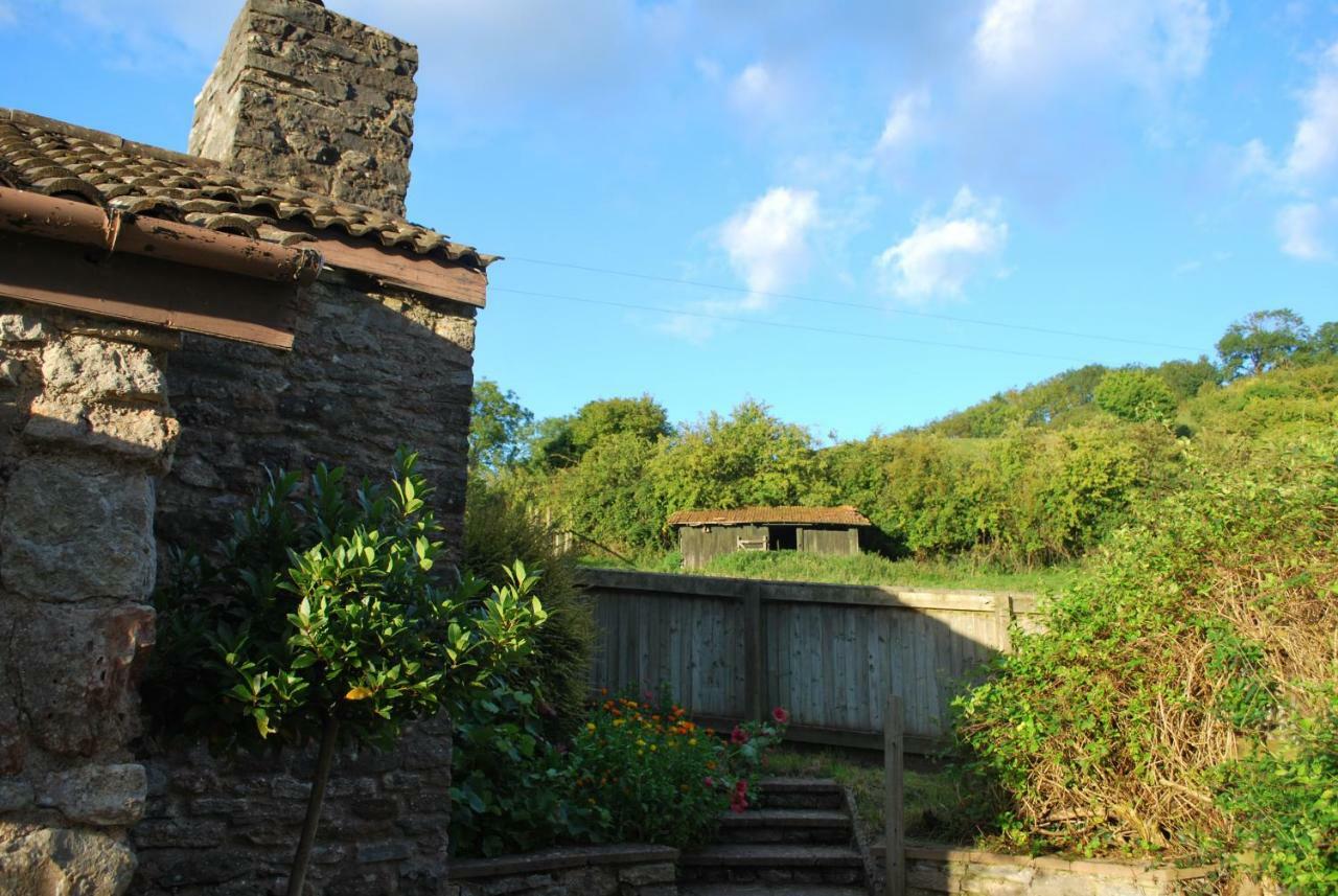 Fenny Castle Vineyard Cottage Wookey Экстерьер фото